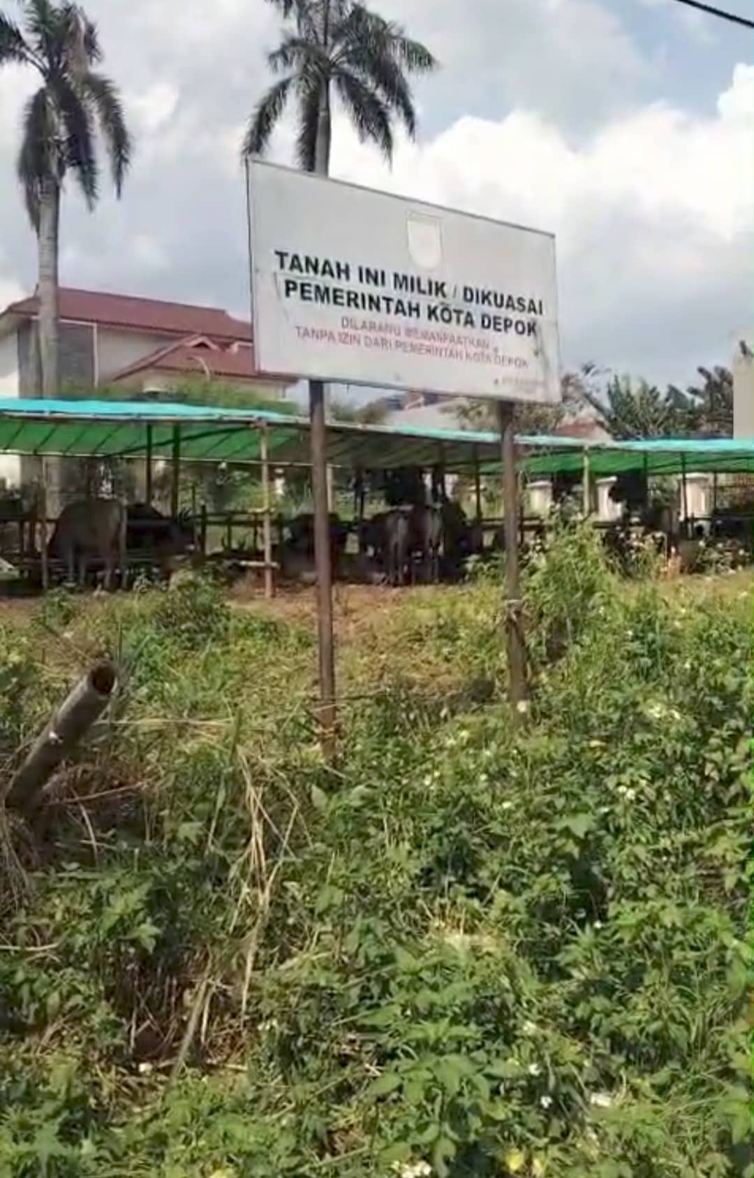 Screenshot 20250521 073413 WhatsApp