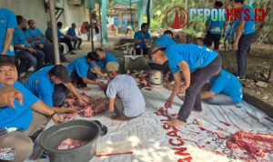 Compress_20250609_132823_3834 Compress 20250609 132823 3834