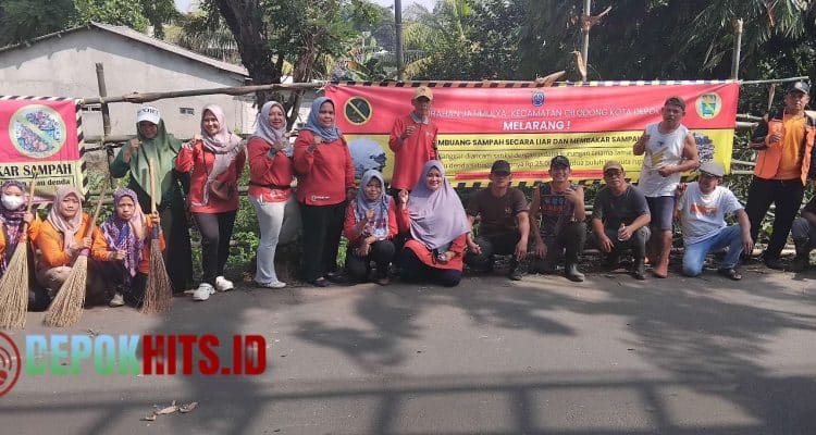 Compress 20250620 135819 9331