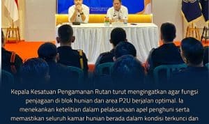 IMG-20251119-WA0136 IMG 20251119 WA0136